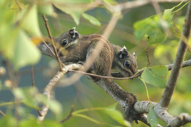 Hike the Heart of Cat Ba National Park Trekking, Biking, Kayaking - Final Thoughts