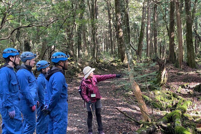 Hiking and Caving in Aokigahara Forest at the Foot of Mt. Fuji - Exploring the Lava Caves: Natural Marvels Beneath the Forest