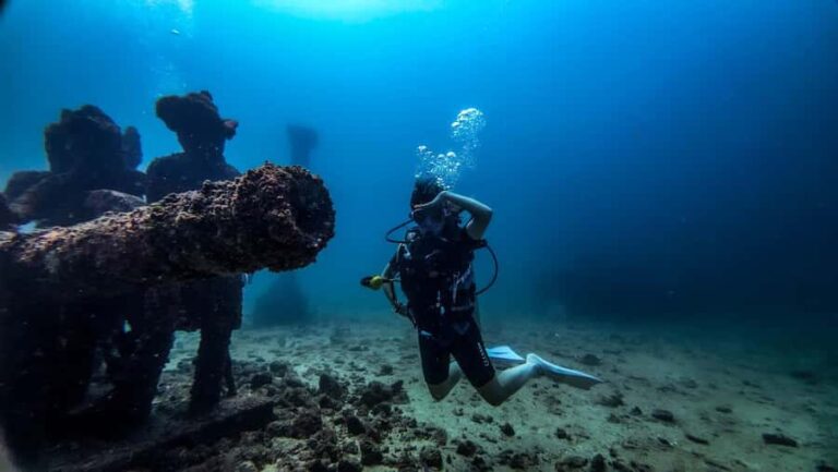 Hikkaduwa: Discover Scuba Diving Experience with Guide - Why This Experience Offers Great Value