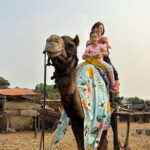 Hill-station & Heritage: Lonavala & Karla Caves Tour from Mumbai - Panoramic Viewpoints: Tiger’s and Lion’s Points