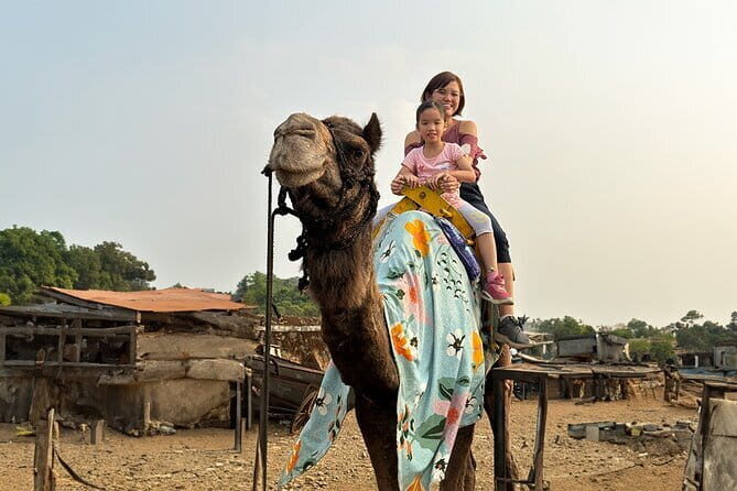 Hill-station & Heritage: Lonavala & Karla Caves Tour from Mumbai - Panoramic Viewpoints: Tiger’s and Lion’s Points