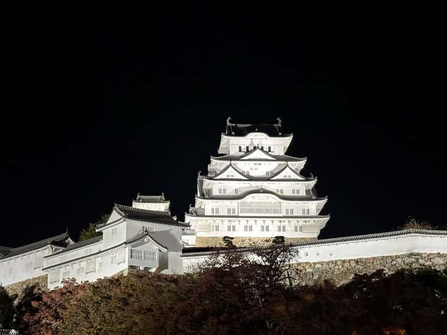 Himeji Castle: Guided Tour with Samurai History Expert - What to Expect from the Tour