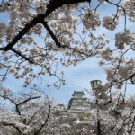 Himeji: visit the castle and Engyoji temple from Osaka - Who Is This Tour Best For?