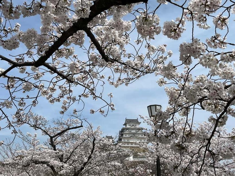 Himeji: visit the castle and Engyoji temple from Osaka - Who Is This Tour Best For?