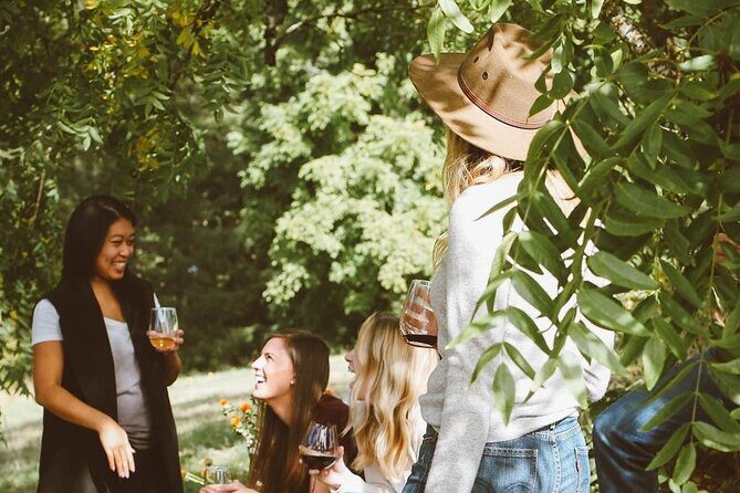 Hinterland Heritage Wine Tour - Practical Aspects and Customer Experience