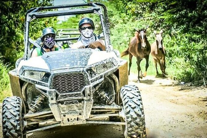 Hip Hop Party Boat & Snorkeling Punta Cana - Adults Only - What Reviewers Love Most