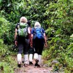 Hiriketiya: Sinharaja Rainforest Guided Day Trip - Deep Dive into the Itinerary