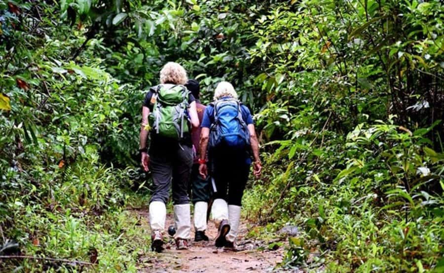 Hiriketiya: Sinharaja Rainforest Guided Day Trip - Deep Dive into the Itinerary