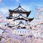Hirosaki 4hr Private Tour with Government-Licensed Guide - Why Choose This Tour? An In-Depth Look at the Experience