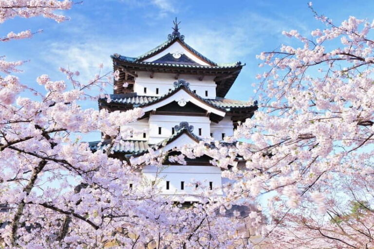 Hirosaki 4hr Private Tour with Government-Licensed Guide - Why Choose This Tour? An In-Depth Look at the Experience