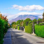 Hirosaki 4hr Private Tour with Government-Licensed Guide - What Makes This Tour Special?