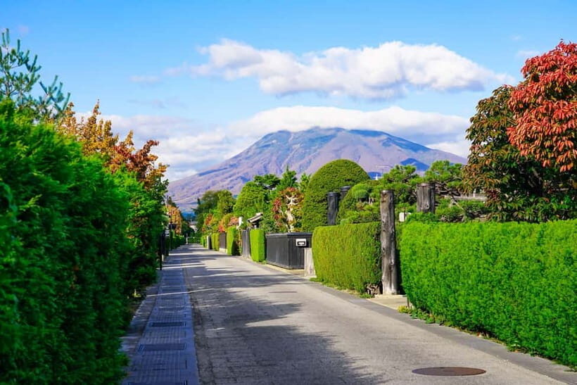 Hirosaki 4hr Private Tour with Government-Licensed Guide - What Makes This Tour Special?