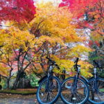 Hiroshima Country Cycling: Explore Rural Life 1 HR from City - Itinerary Breakdown and Highlights