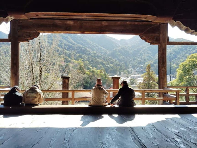 Hiroshima: Itsukushima Shrine and Miyajima Summit Tour - Who Is This Tour Best For?