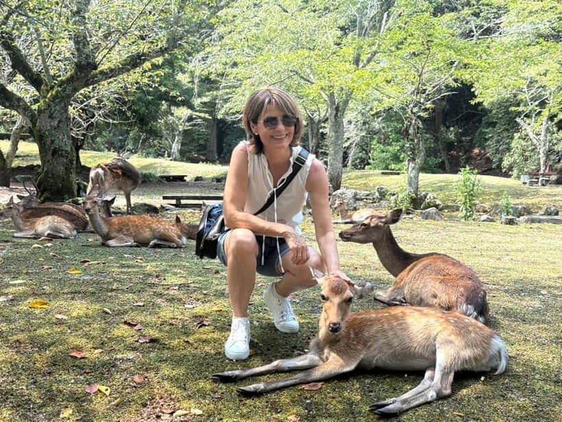 Hiroshima: Miyajima Island Half-Day Tour with Guide - Who Will Love This Tour?