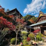 Hiroshima: Miyajima Private Tour with Ferry Ride - Transportation and Logistics