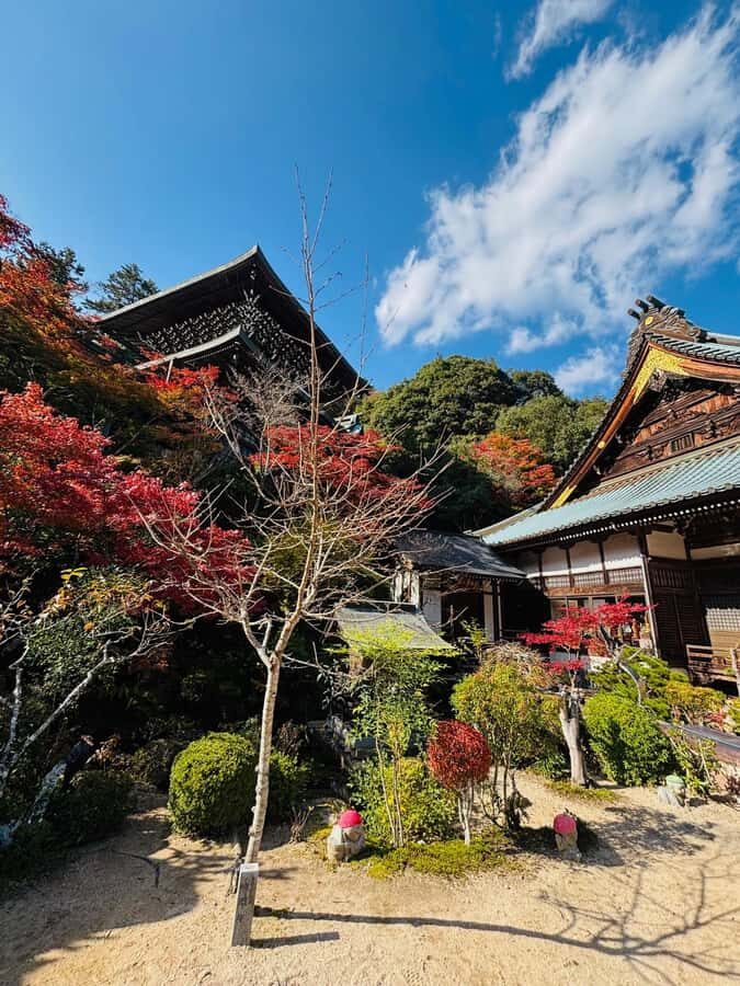Hiroshima: Miyajima Private Tour with Ferry Ride - Transportation and Logistics
