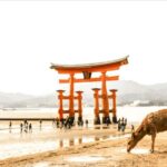 Hiroshima & Miyajima tour with English/Spanish Speaker Guide - A Deep Dive into the Hiroshima & Miyajima Experience