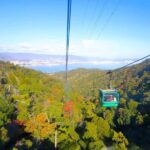 Hiroshima: Private Custom Walking Tour - FAQ