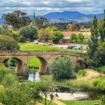 Historic Richmond Village Half-Day Coach Tour - What the Reviews Reveal: Authentic Perspectives