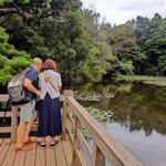 History and serenity at Meiji Shrine and Yoyogi Park  Walking Tour - A Step-by-Step Look at the Tour