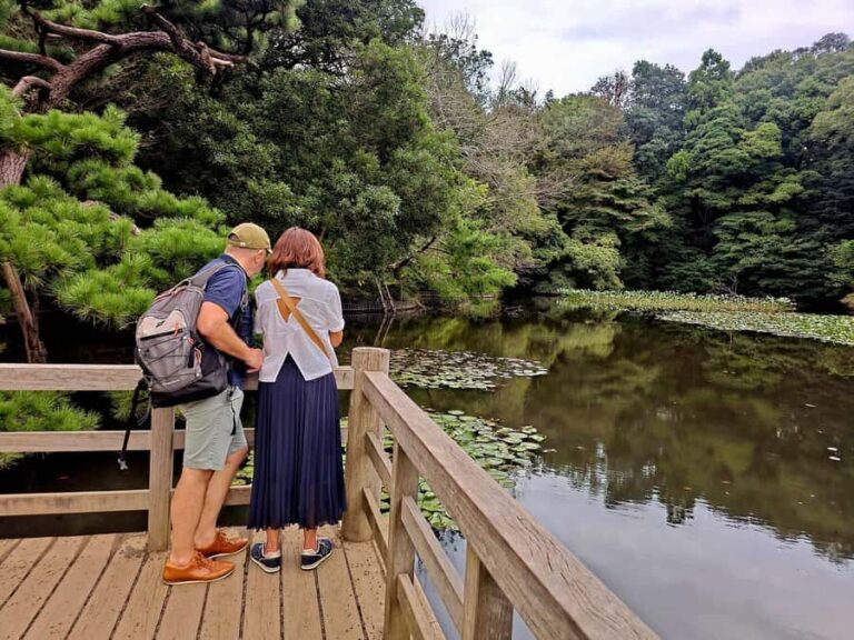 History and serenity at Meiji Shrine and Yoyogi Park Walking Tour - A Step-by-Step Look at the Tour