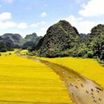 Hoa Lu Tam Coc Cycling 1 Day Trip From Ha Noi - Exploring the Itinerary