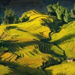 Hoang Su Phi Loop 4 Day Motorbike and Hiking Tour - What Makes This Tour Special?