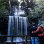Hobart: 7hr Shore Excursion: Mt. Field, Russell Falls & Wildlife - Things to Consider