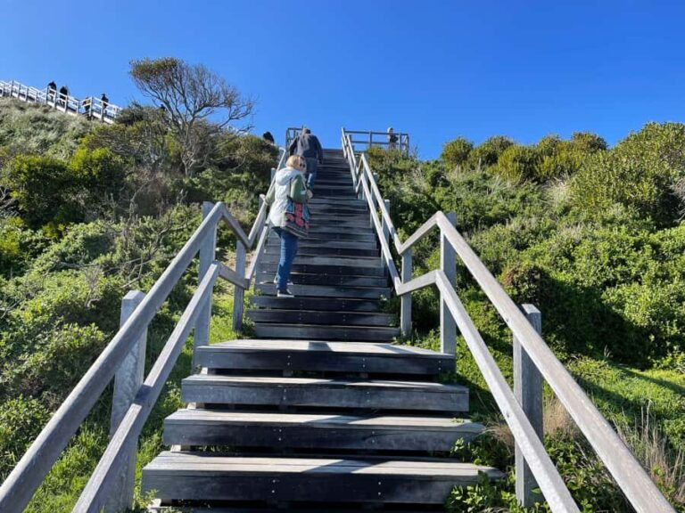 Hobart: Bruny Island Adventure: Hike, Highlights & Tastes - Lunch and Gourmet Tastings