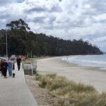 Hobart, Bush and Beach Escape - 2 Hour Small Group Tour - A Practical Breakdown of the Hobart, Bush and Beach Escape Tour