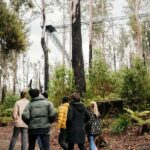 Hobart: Hastings Cave, Tahune Airwalk and Huon Tasting Trail - Why This Tour Is a Great Choice
