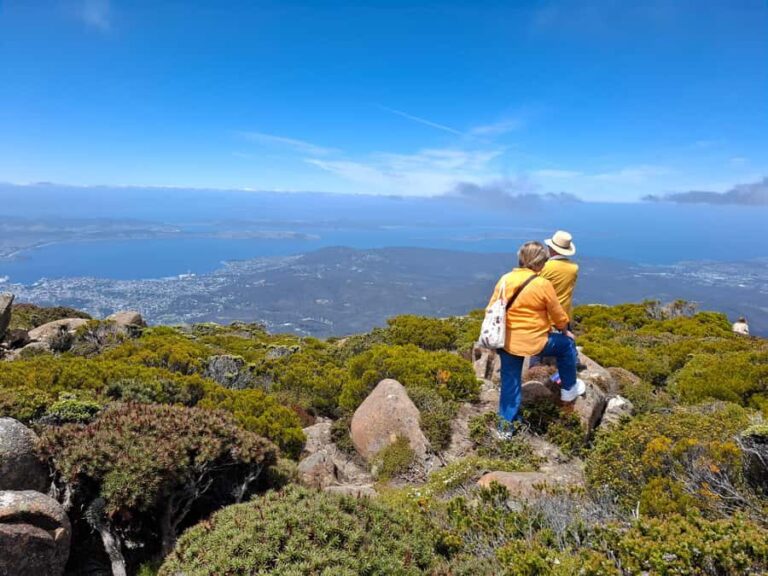 Hobart Highlights & Mount Wellington Shore Excursion - Starting Point & City Exploration