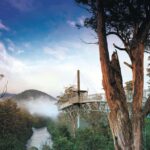 Hobart: Port Arthur, Bruny, Hastings, and Tahune 4-Day Trip - An Overview of the 4-Day Itinerary