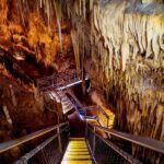 Hobart: Tahune Airwalk, Hastings Cave, Thermal Springs Tour - Good To Know