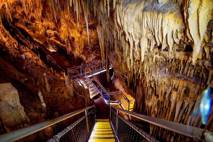 Hobart: Tahune Airwalk, Hastings Cave, Thermal Springs Tour - Good To Know