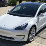 Hobbiton Movie Set Small Group Private Transfer from Auckland - A Closer Look at the Itinerary