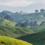 Hobbiton Movie Set Small Tour from Auckland - Pricing, Duration, and Value