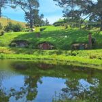 Hobbiton Small group Tour from Tauranga Port - Who Is This Tour Best For?