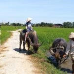 Hoi An Basket Boat and Cooking Class at Tra Nhieu Eco Village - Practical Details and Tips for Travelers