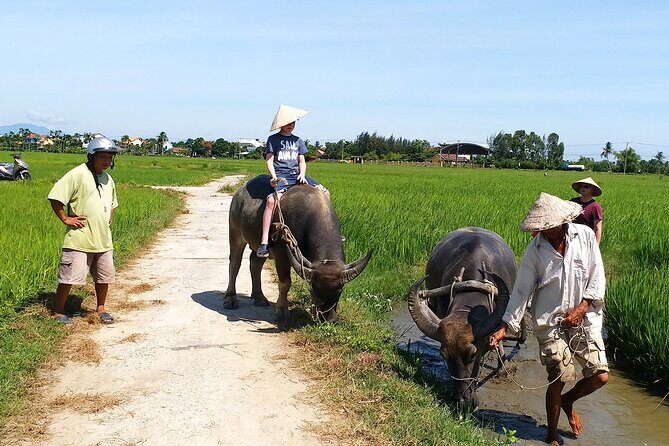 Hoi An Basket Boat and Cooking Class at Tra Nhieu Eco Village - Practical Details and Tips for Travelers