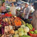 Hoi An Cultural Tour: My Son & Cooking Class in Cam Thanh Village - Who Should Consider This Tour?