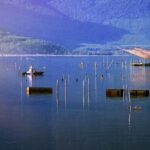 Hoi An - Danang - Hue: Private Car via Hai Van Pass and More - Scenic Stops: What to Expect