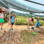 Hoi An Eco Cultural Day Includes Farming and Cooking Class - Practical Details and What to Expect