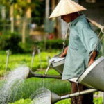 Hoi An Food Tour - Street Eats And Hoi An Hidden Gems - The Value of This Experience