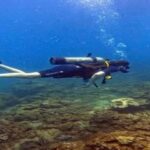 Hoi An snorkeling by speedboat at Cham Island - Practical Details That Matter