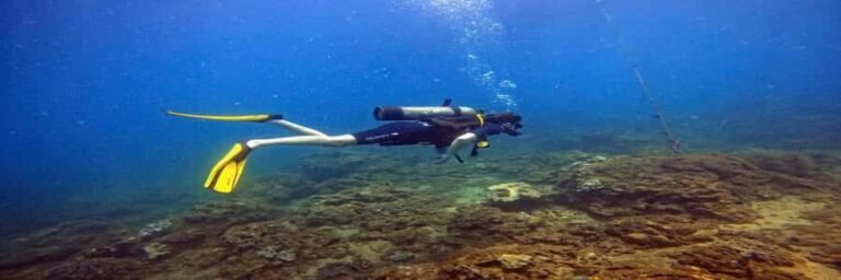 Hoi An snorkeling by speedboat at Cham Island - Practical Details That Matter