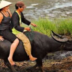Hoi An Wet Rice Farming Tour-Basket Boat Tour Fishing-Lunch - Pricing and Value