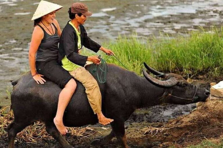 Hoi An Wet Rice Farming Tour-Basket Boat Tour Fishing-Lunch - Pricing and Value