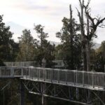 Hokitika: West Coast Treetop Walkway Entrance Ticket - Value and Cost Analysis